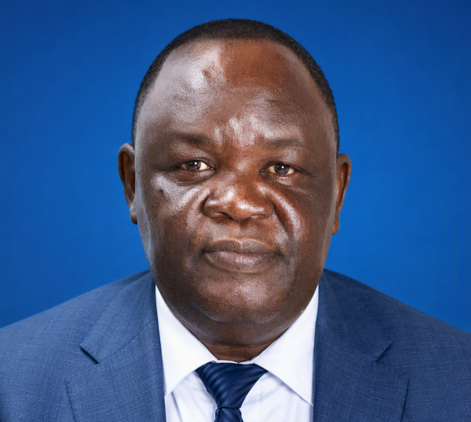  Paul Faraj Koyi - MANAGING DIRECTOR AND CEO SAFER POWER COMPANY TANZANIA